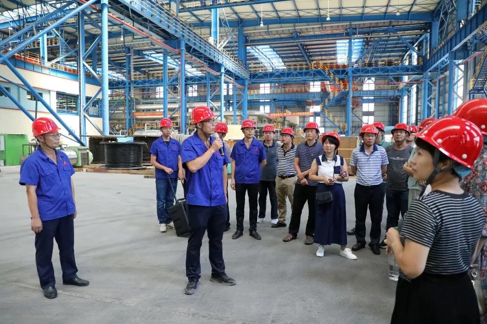 腾博会官网 - 诚信为本,专业服务!