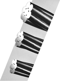 腾博会官网 - 诚信为本,专业服务!