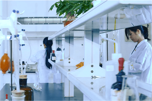 人才效果绚烂如秋